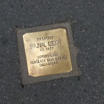 These bricks are in various cities, remembering people who died in the Holocaust. Found the first one in Budapest.
