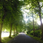 Beautiful walk in Hyde Park of London