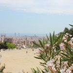 The views from Parc Guell were amazing.